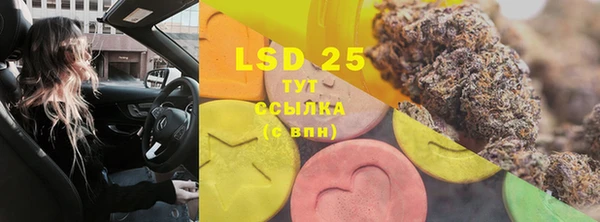 прущие грибы Белоозёрский