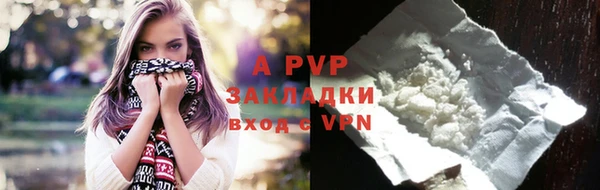 прущие грибы Белоозёрский