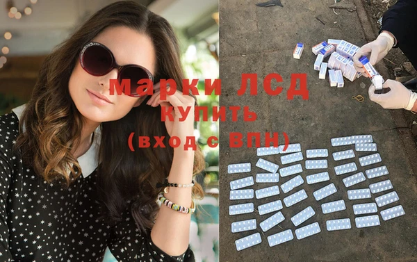 прущие грибы Белоозёрский