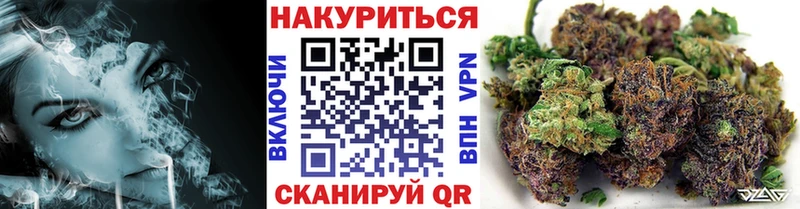 Бошки Шишки гибрид Красноуфимск